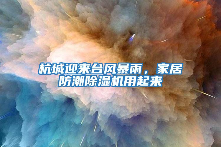 杭城迎來(lái)臺風(fēng)暴雨,家居防潮除濕機用起來(lái)
