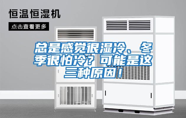 總是感覺(jué)很濕冷、冬季很怕冷？可能是這三種原因！