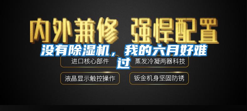 沒(méi)有除濕機，我的六月好難過(guò)
