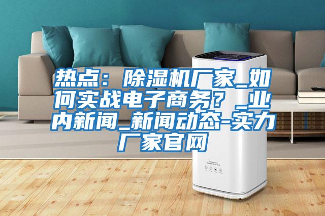 熱點(diǎn)：除濕機廠(chǎng)家_如何實(shí)戰電子商務(wù)？_業(yè)內新聞_新聞動(dòng)態(tài)-實(shí)力廠(chǎng)家官網(wǎng)