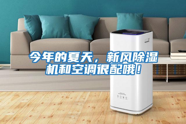 今年的夏天，新風(fēng)除濕機和空調很配哦！