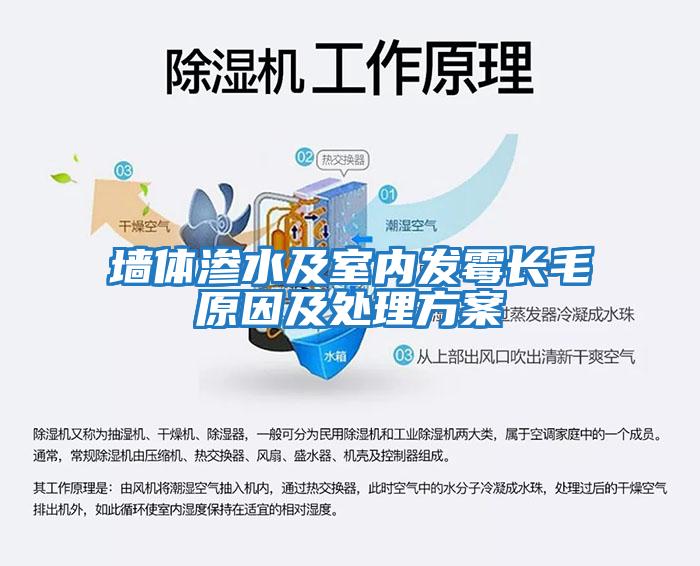 墻體滲水及室內發(fā)霉長(cháng)毛原因及處理方案