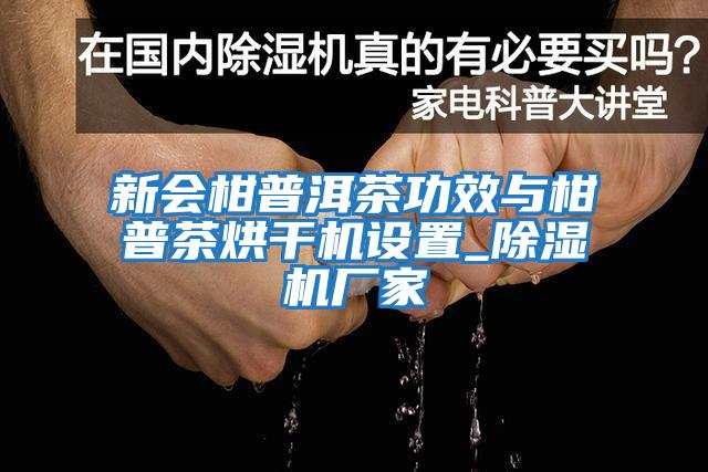 新會(huì )柑普洱茶功效與柑普茶烘干機設置_除濕機廠(chǎng)家