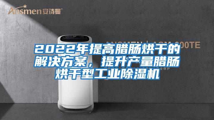 2022年提高臘腸烘干的解決方案，提升產(chǎn)量臘腸烘干型工業(yè)除濕機