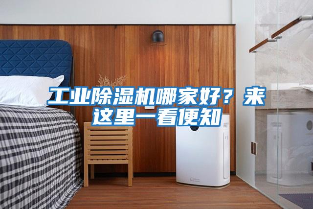 工業(yè)除濕機哪家好？來(lái)這里一看便知