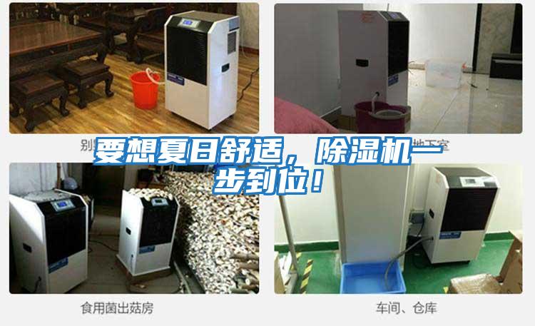 要想夏日舒適，除濕機一步到位！