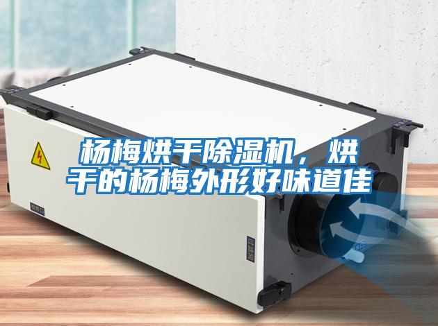楊梅烘干除濕機，烘干的楊梅外形好味道佳