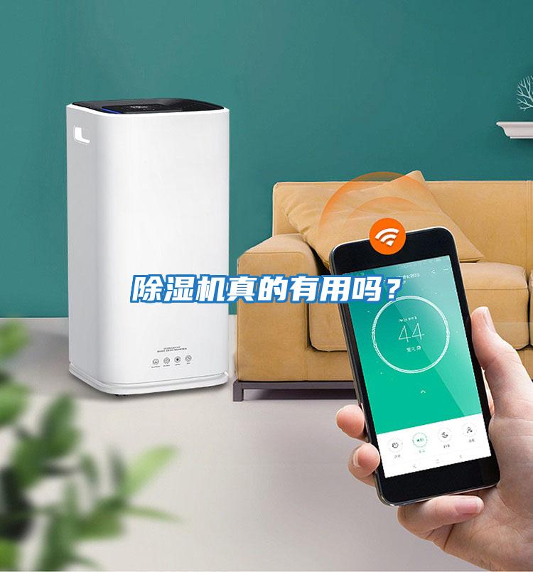 除濕機真的有用嗎？