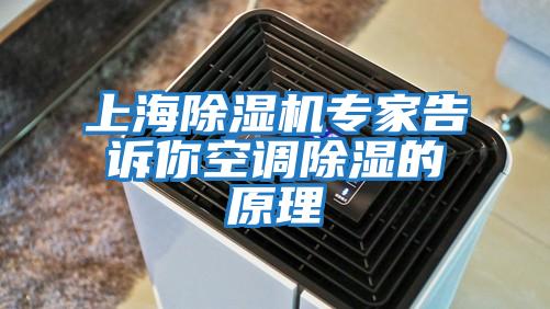上海除濕機專(zhuān)家告訴你空調除濕的原理