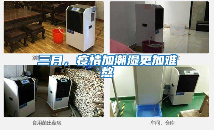 三月，疫情加潮濕更加難熬