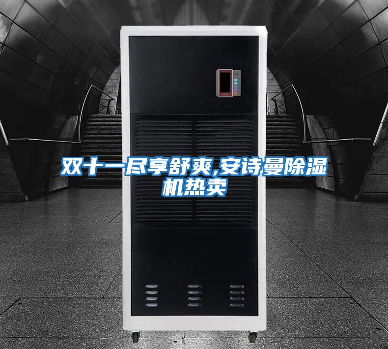 雙十一盡享舒爽,安詩(shī)曼除濕機熱賣(mài)