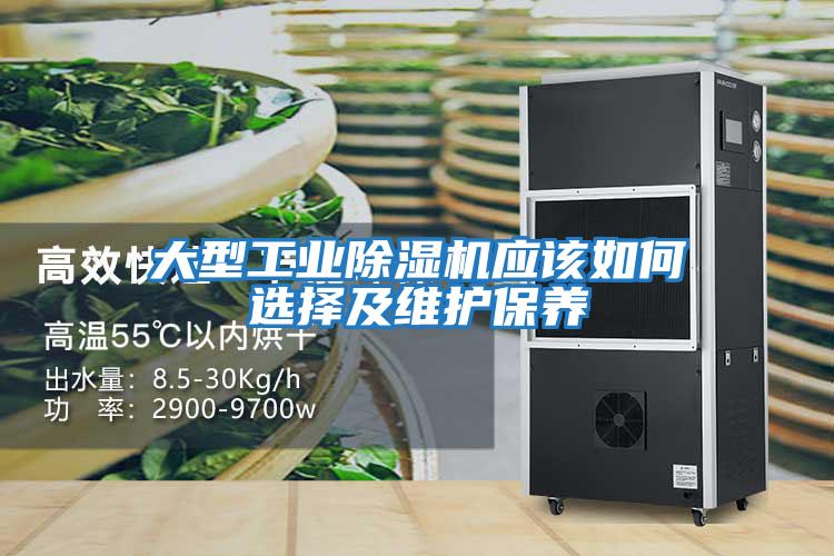 大型工業(yè)除濕機應該如何選擇及維護保養