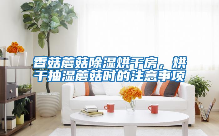香菇蘑菇除濕烘干房，烘干抽濕蘑菇時(shí)的注意事項