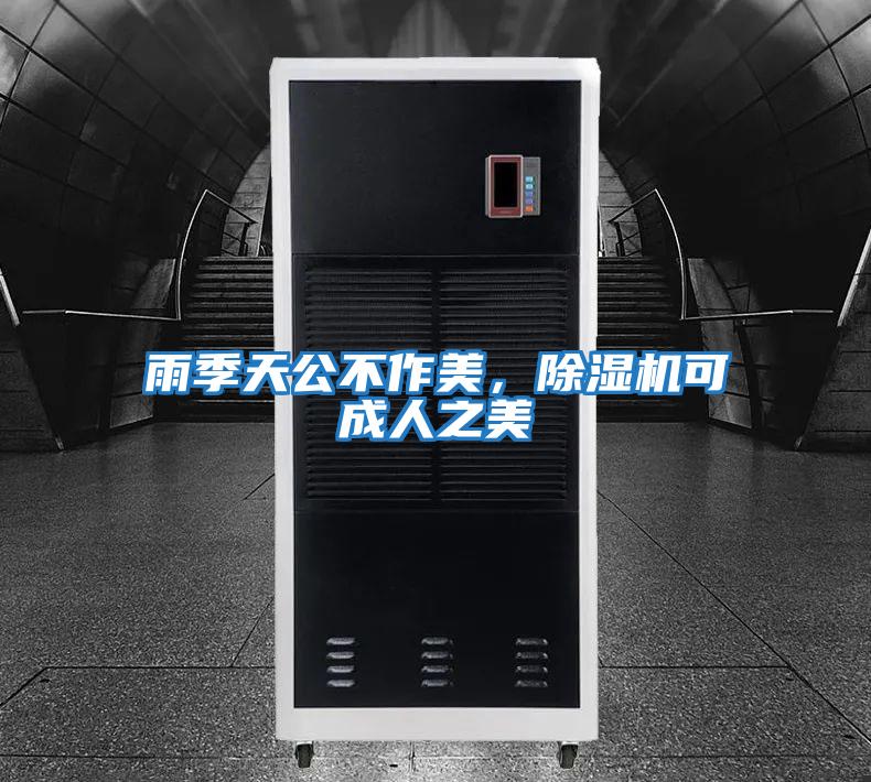 雨季天公不作美，除濕機可成人之美