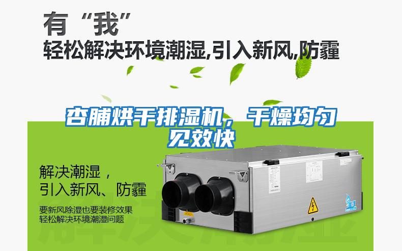 杏脯烘干排濕機，干燥均勻見(jiàn)效快