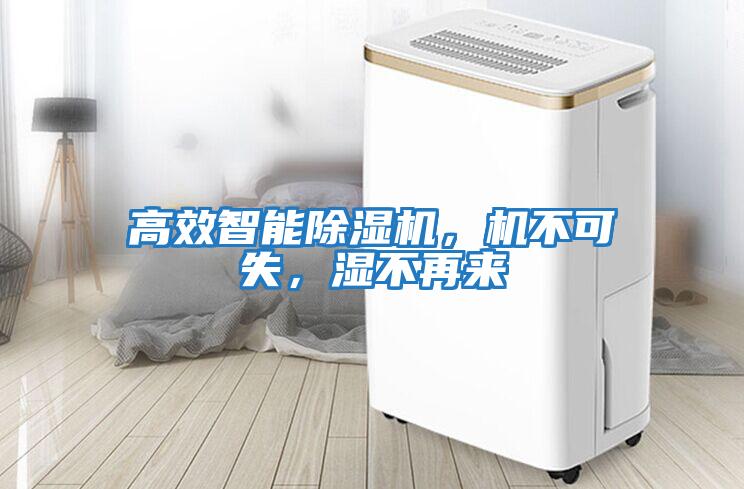 高效智能除濕機，機不可失，濕不再來(lái)