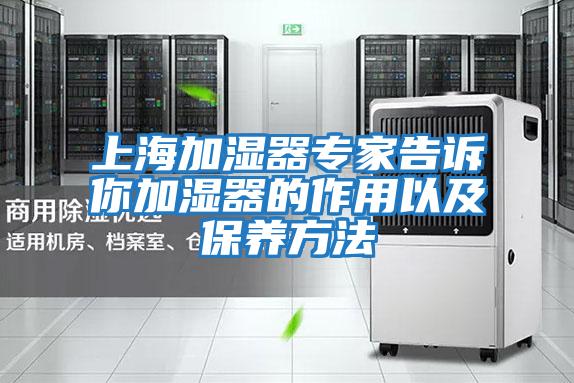 上海加濕器專(zhuān)家告訴你加濕器的作用以及保養方法