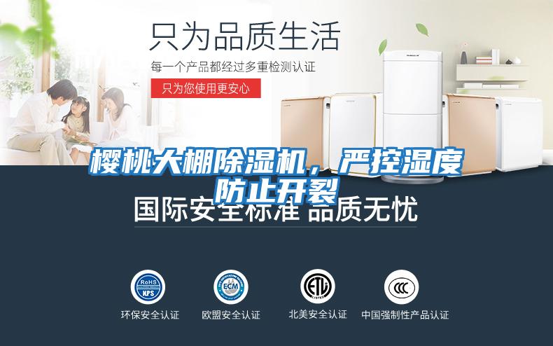 櫻桃大棚除濕機，嚴控濕度防止開(kāi)裂