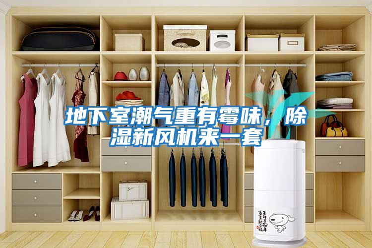 地下室潮氣重有霉味，除濕新風(fēng)機來(lái)一套