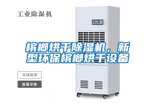 檳榔烘干除濕機，新型環(huán)保檳榔烘干設備