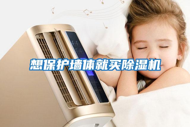 想保護墻體就買(mǎi)除濕機
