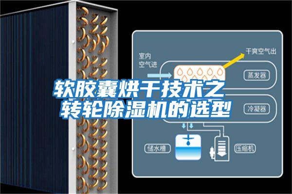 軟膠囊烘干技術(shù)之 轉輪除濕機的選型