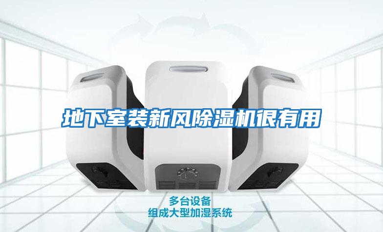 地下室裝新風(fēng)除濕機很有用