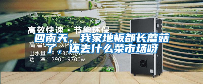 回南天，我家地板都長(cháng)蘑菇了，還去什么菜市場(chǎng)呀