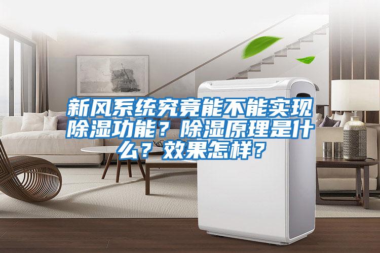 新風(fēng)系統究竟能不能實(shí)現除濕功能？除濕原理是什么？效果怎樣？