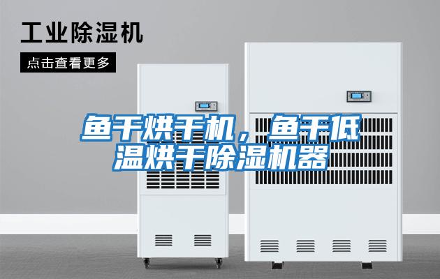 魚(yú)干烘干機，魚(yú)干低溫烘干除濕機器