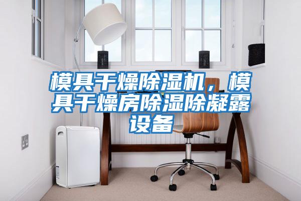 模具干燥除濕機，模具干燥房除濕除凝露設備