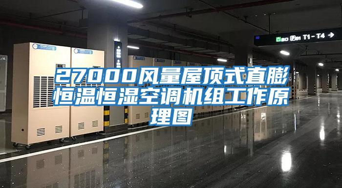 27000風(fēng)量屋頂式直膨恒溫恒濕空調機組工作原理圖