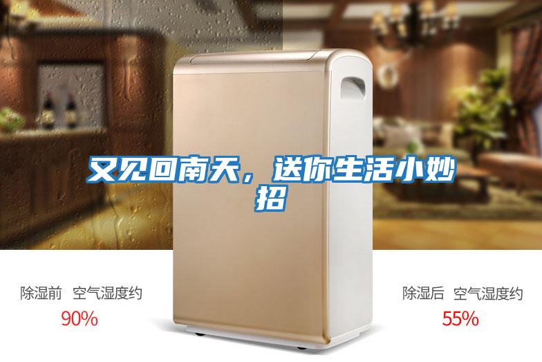 又見(jiàn)回南天，送你生活小妙招