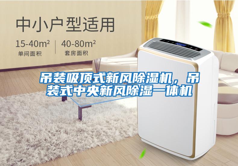 吊裝吸頂式新風(fēng)除濕機，吊裝式中央新風(fēng)除濕一體機
