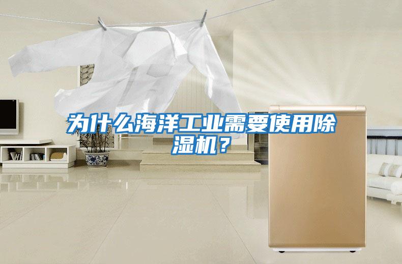 為什么海洋工業(yè)需要使用除濕機？