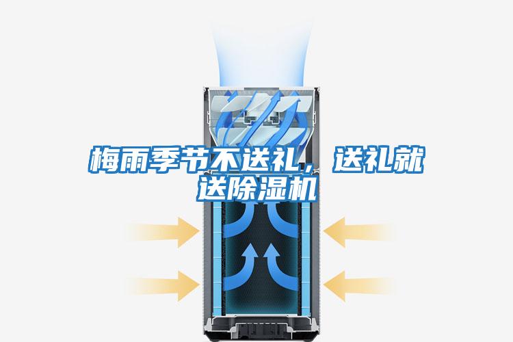 梅雨季節不送禮，送禮就送除濕機