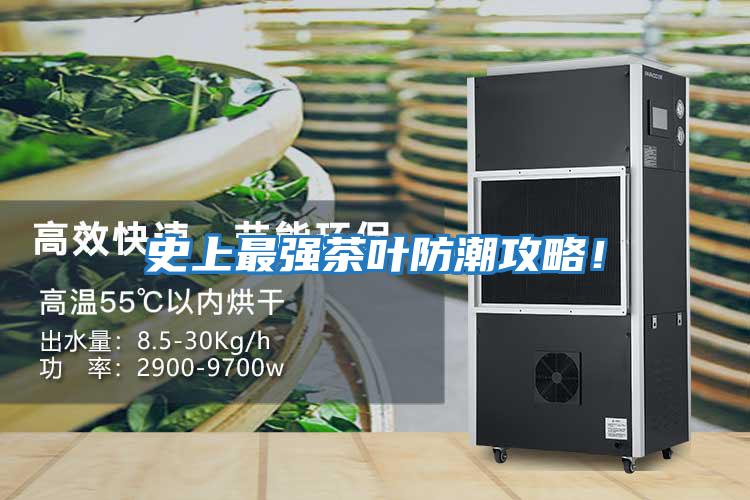 史上最強茶葉防潮攻略！