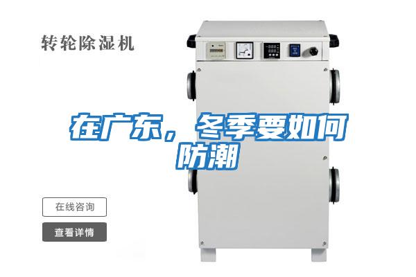 在廣東，冬季要如何防潮