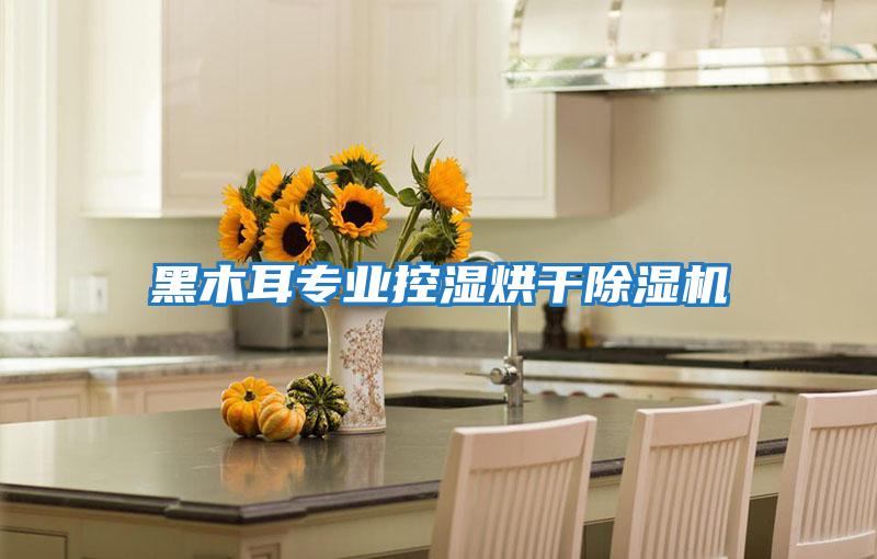 黑木耳專(zhuān)業(yè)控濕烘干除濕機