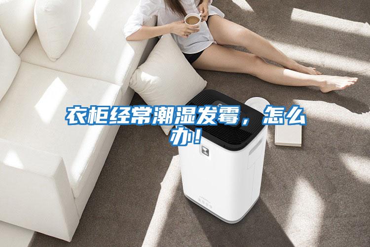 衣柜經(jīng)常潮濕發(fā)霉，怎么辦！