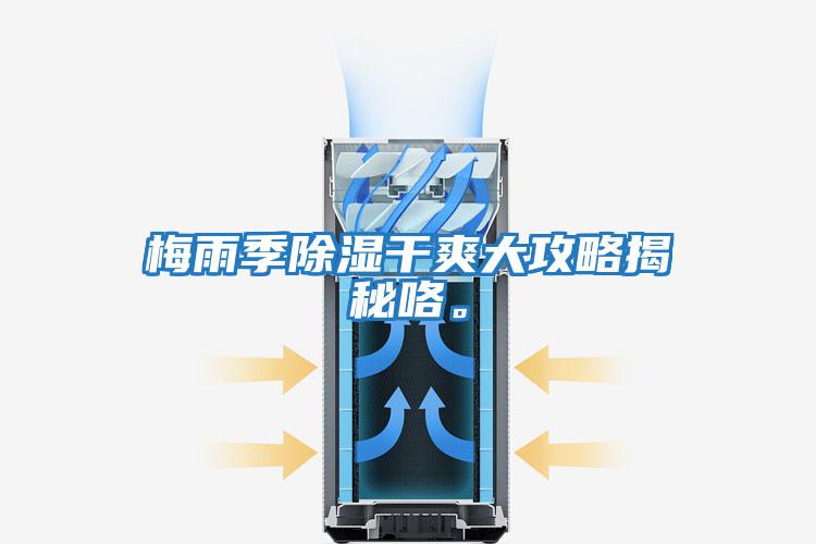 梅雨季除濕干爽大攻略揭秘咯。
