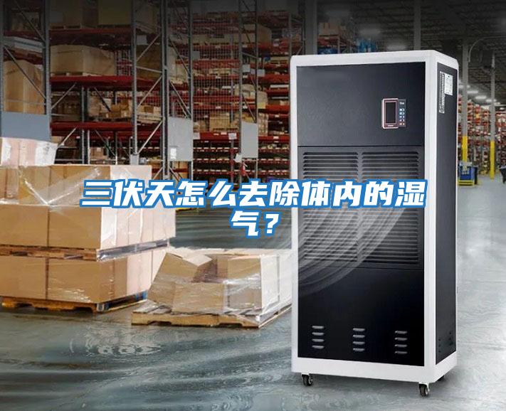 三伏天怎么去除體內的濕氣？