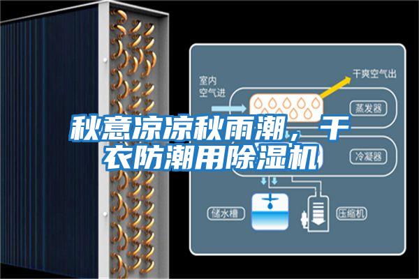 秋意涼涼秋雨潮，干衣防潮用除濕機