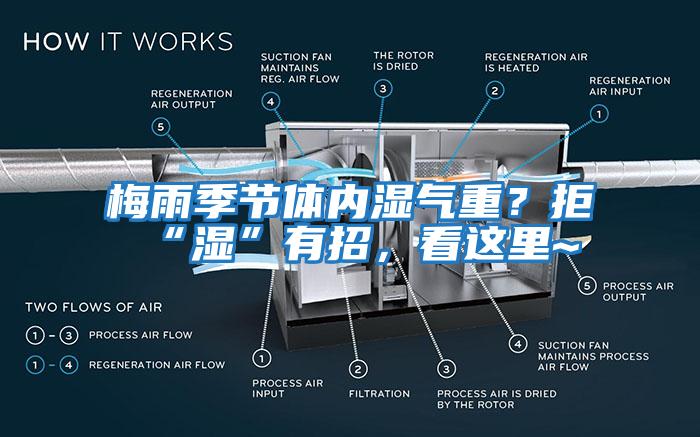 梅雨季節體內濕氣重？拒“濕”有招，看這里~