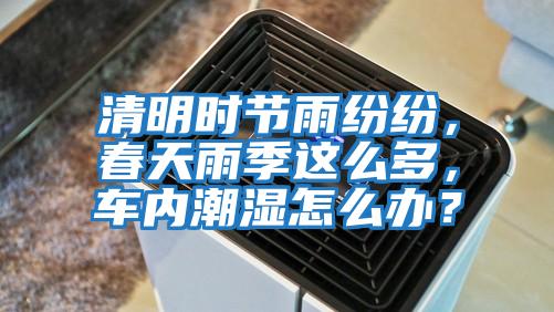 清明時(shí)節雨紛紛，春天雨季這么多，車(chē)內潮濕怎么辦？