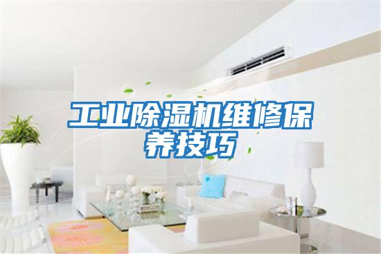 工業(yè)除濕機維修保養技巧