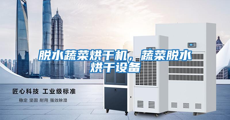 脫水蔬菜烘干機，蔬菜脫水烘干設備