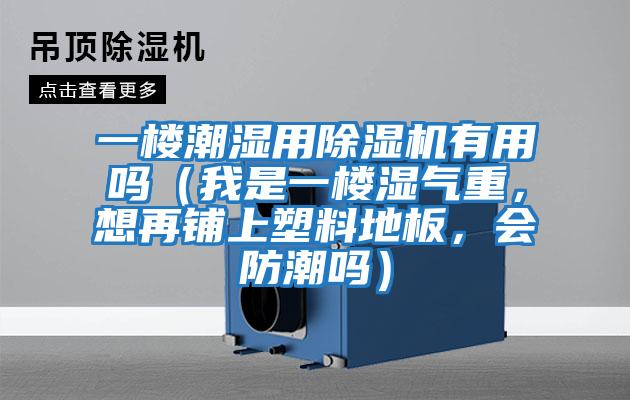 一樓潮濕用除濕機有用嗎（我是一樓濕氣重，想再鋪上塑料地板，會(huì )防潮嗎）