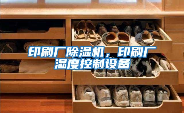 印刷廠(chǎng)除濕機，印刷廠(chǎng)濕度控制設備