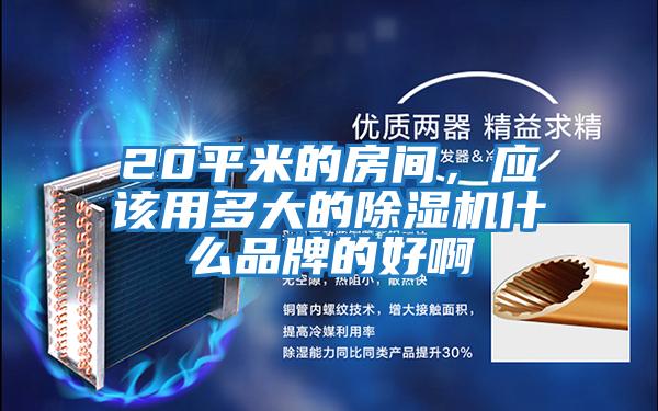 20平米的房間，應該用多大的除濕機什么品牌的好啊